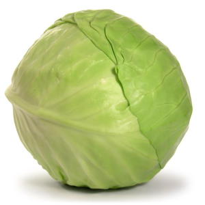 Cabbage
